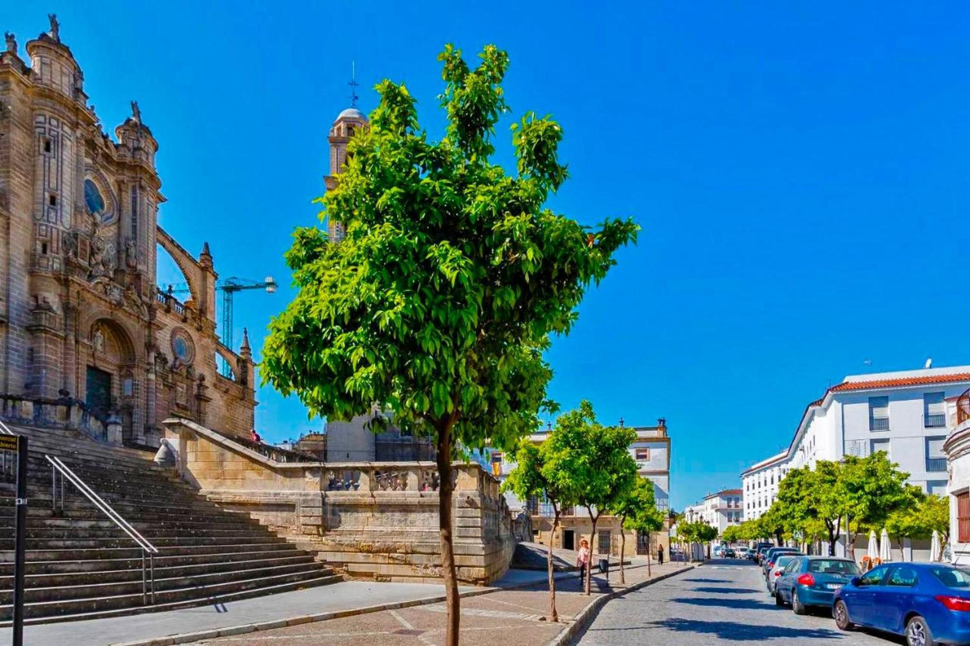 Апартаменти La Torre De La Catedral - Ole Solutions Херес-де-ла-Фронтера Екстер'єр фото